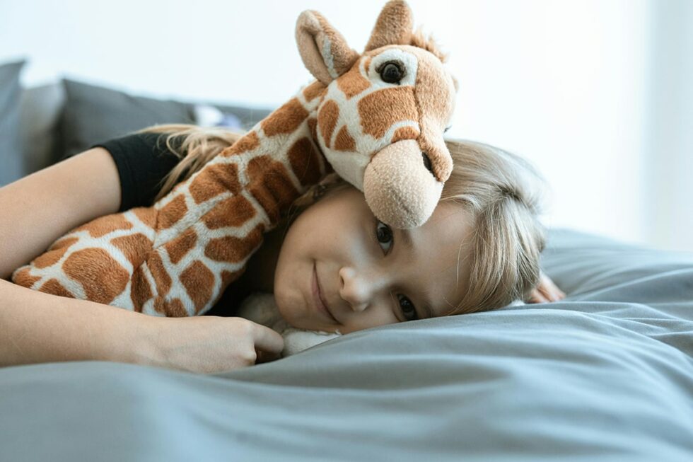 Plush Toys Inspection Checklist and Template - QCADVISOR
