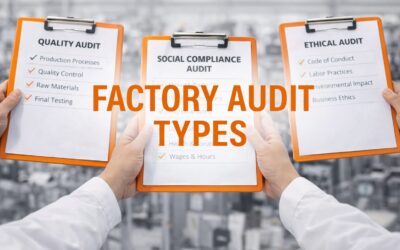 What are the 12 Factory Audit Types